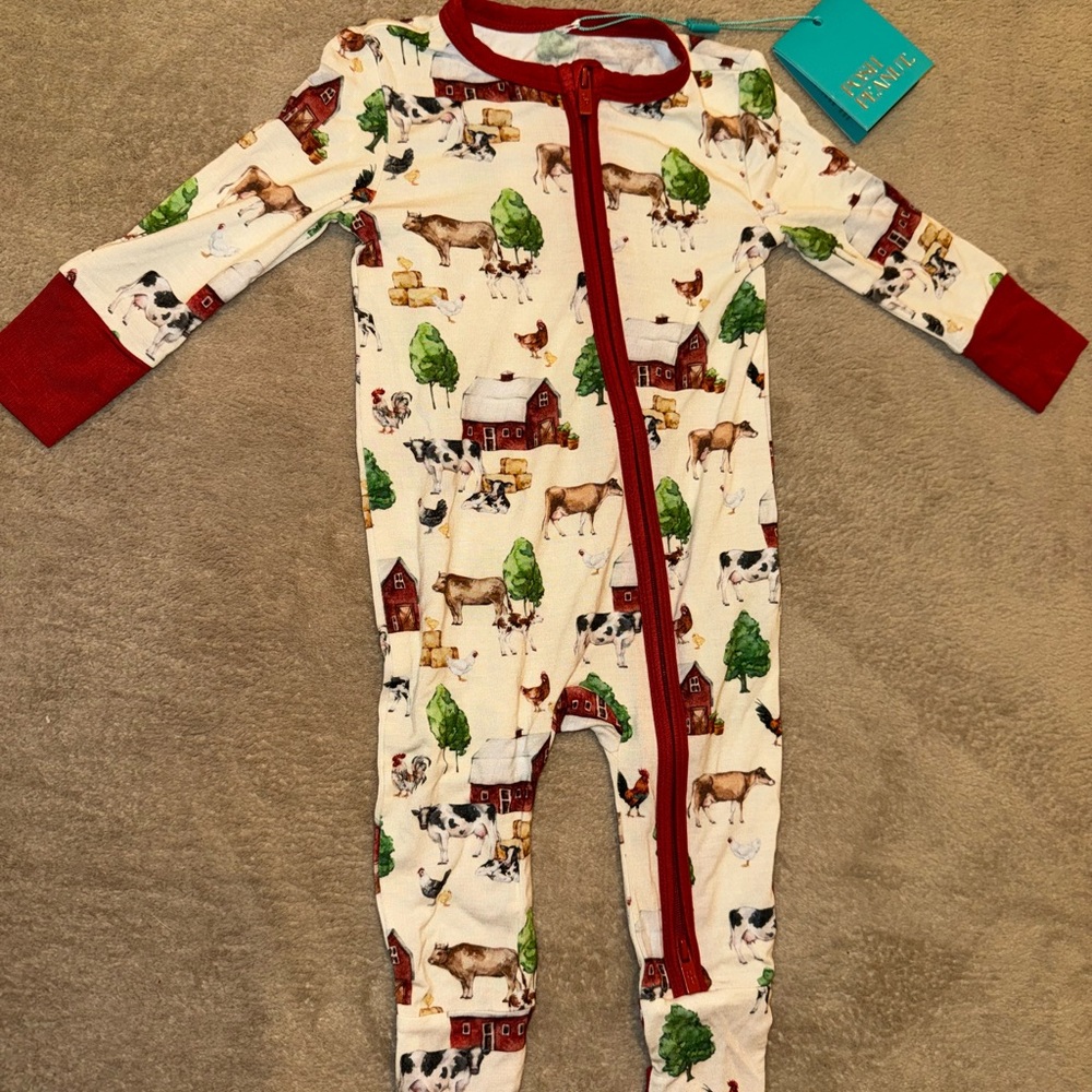 Nashville Convertible One Piece, 3-6 months NWT